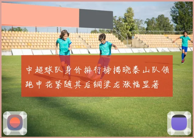 中超球队身价排行榜揭晓泰山队领跑申花紧随其后铜梁龙涨幅显著